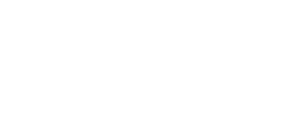 Visionary Club